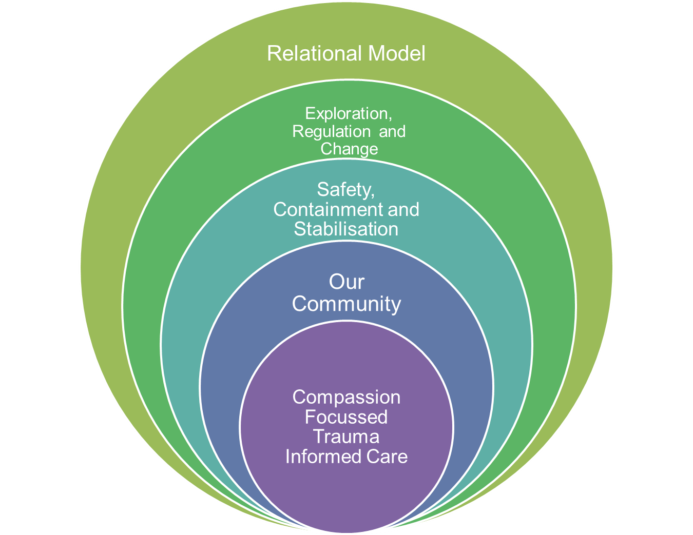 Secure Inpatient Service Model Of Care And Professional Practice Tees 