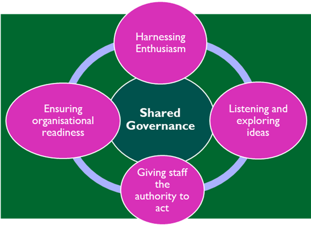 Secure inpatient service model of care and professional practice - Tees ...
