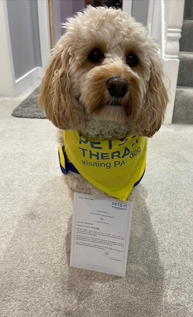 Ruby proudly shows of her Pets As Therapy certificate