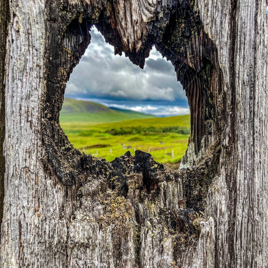 Tree bark with view of the sea through a hole