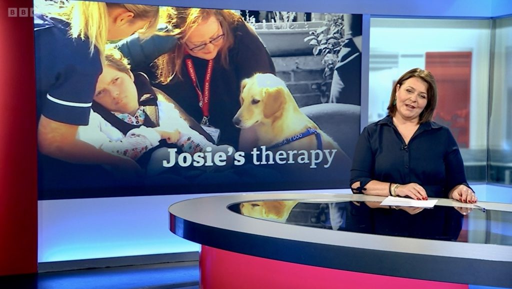 BBC features Josie the therapy dog