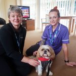 Staff with Nell the therapy dog