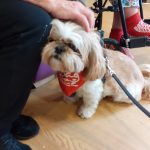 Nell with our patients