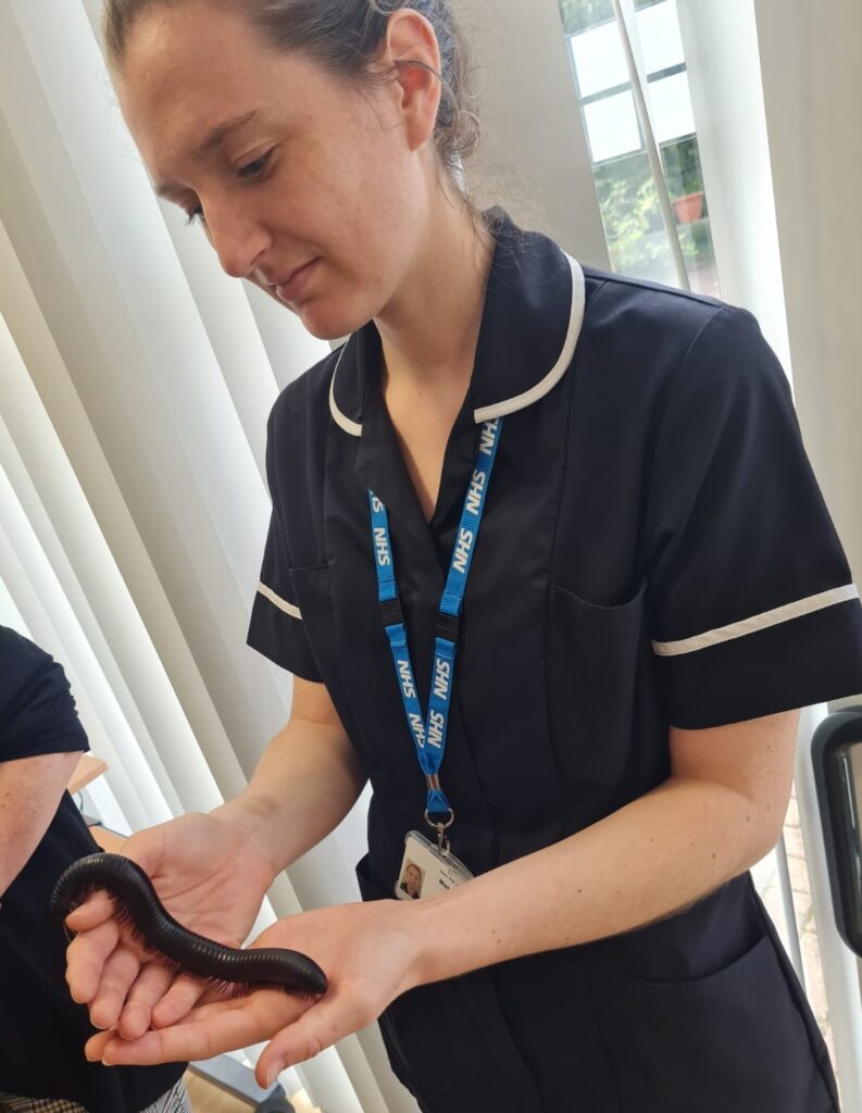 Staff member holding a giant centipede