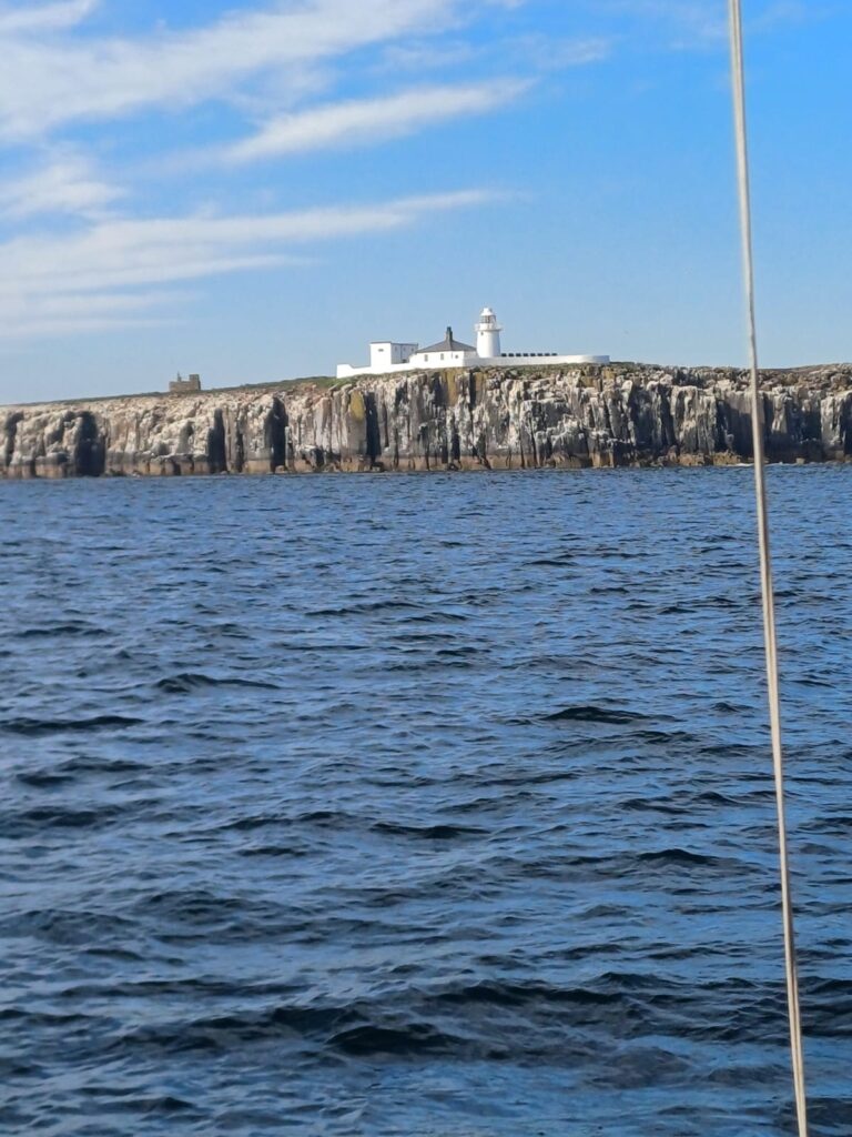 Views from the Voyage to Recovery boat