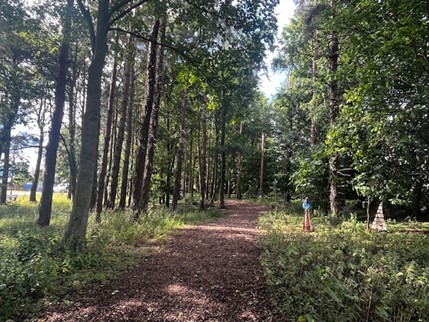 Woodland walks