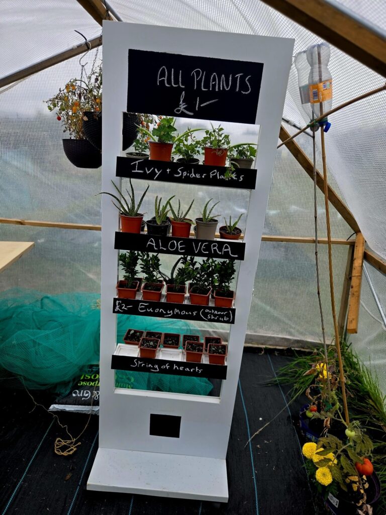 Plant stand to showcase plants that have been grown and can be sold at the Waverley Wellbeing Garden