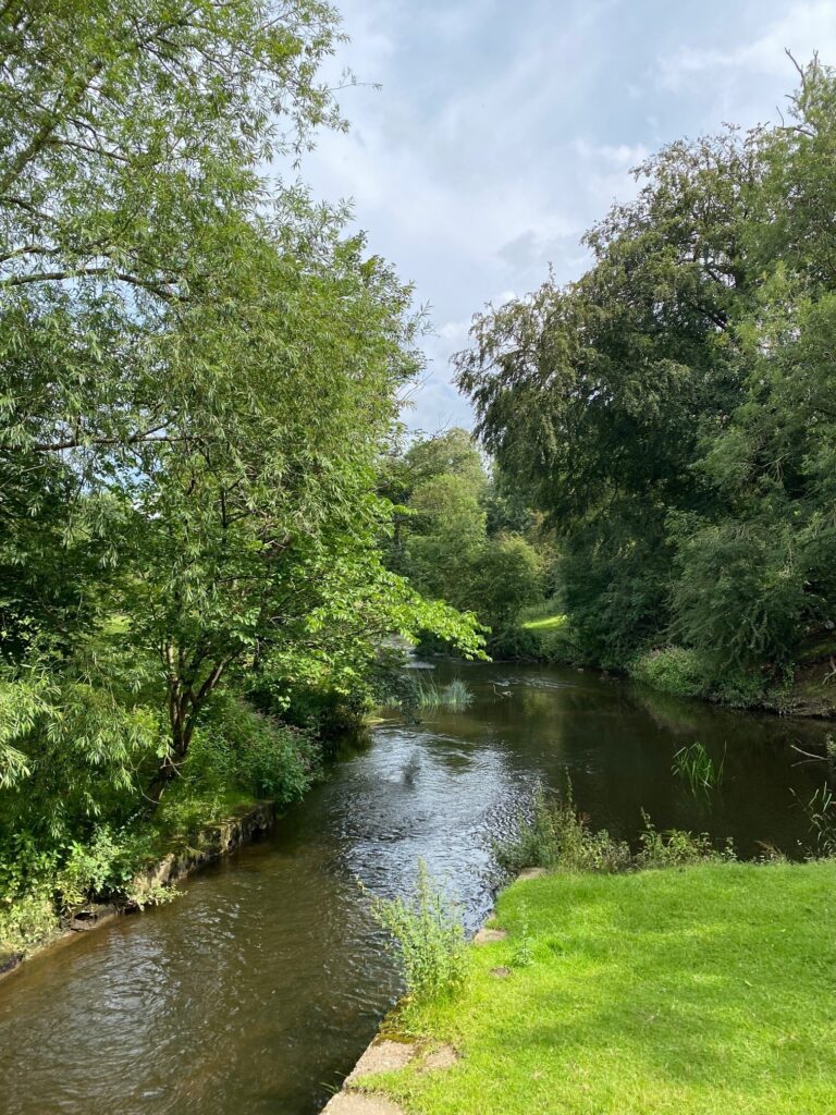 Countryside scene photographed by Quince
