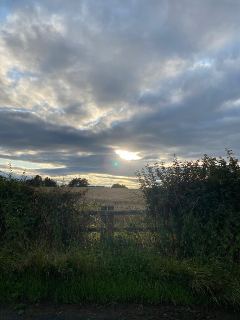 Image taken by Quince while out walking in the countryside.