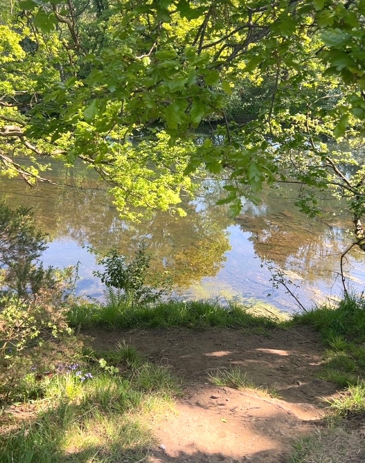 Photo of countryside taken by Quince