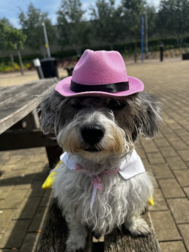 Daisy in her pink hat