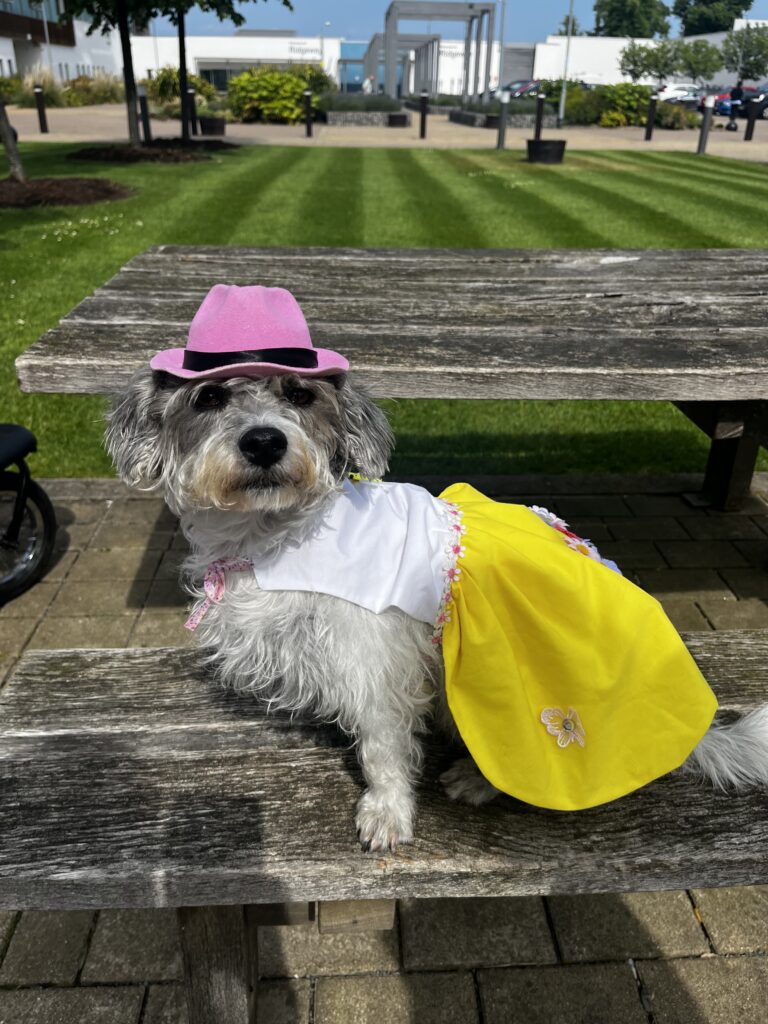 Daisy in her summer dress
