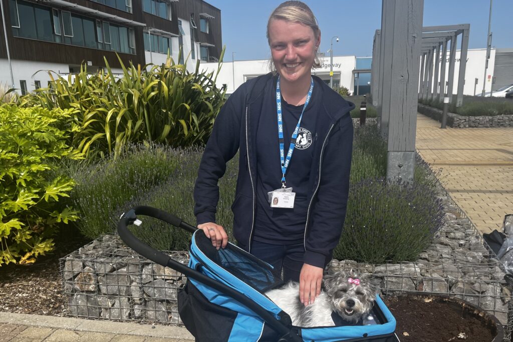 Sophie with Daisy in her carrier having a break in the warm weather