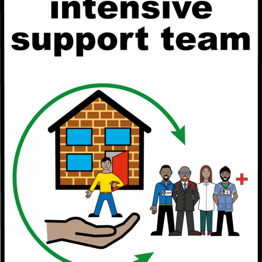 image of a team of doctors and nurses next to a house. There's also a hand with a person above it to symbolise care and support.