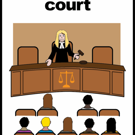 picture of a judge sat facing a row of people with two people sat in the front