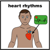 Heart rhythms